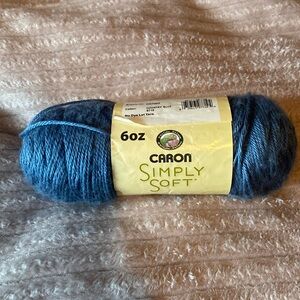 NWT Caron Country Blue Yarn